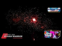 Wuhan Warrior - 108 Shot image 3